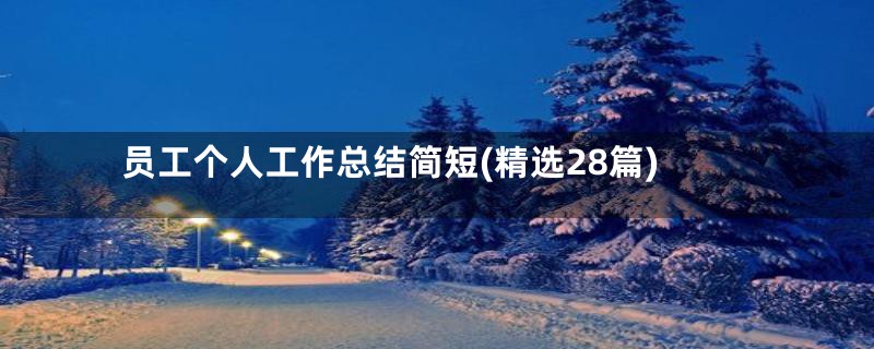 员工个人工作总结简短(精选28篇)