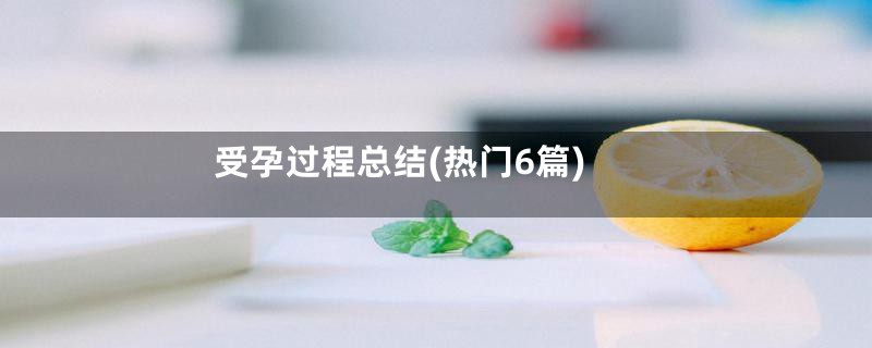 受孕过程总结(热门6篇)