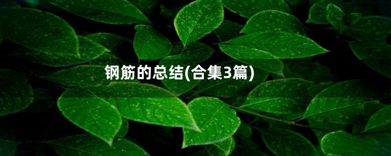 钢筋的总结(合集3篇)
