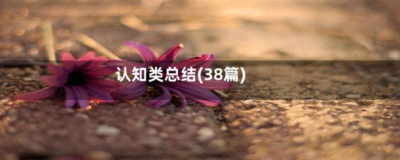 认知类总结(38篇)