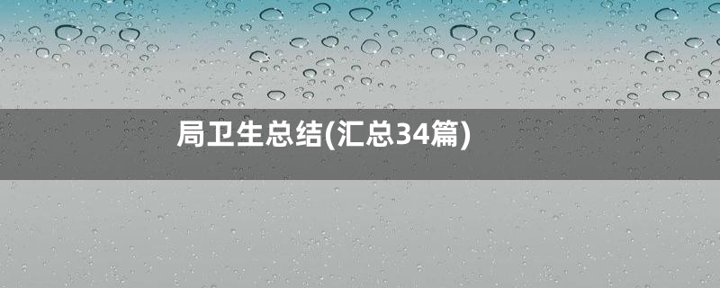 局卫生总结(汇总34篇)
