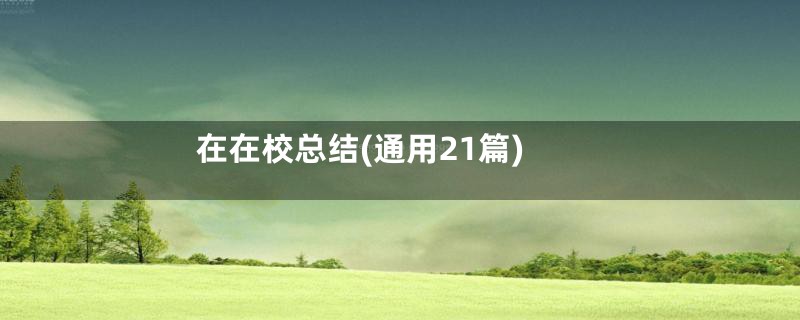 在在校总结(通用21篇)