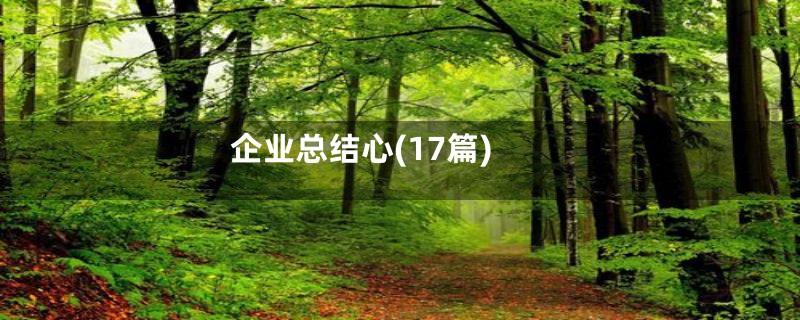 企业总结心(17篇)