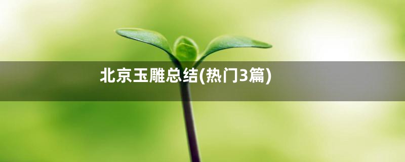 北京玉雕总结(热门3篇)