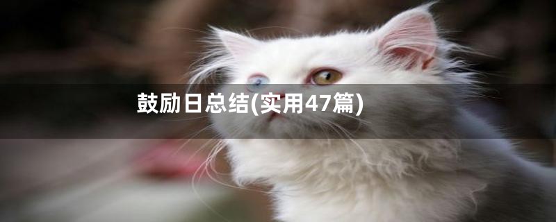 鼓励日总结(实用47篇)