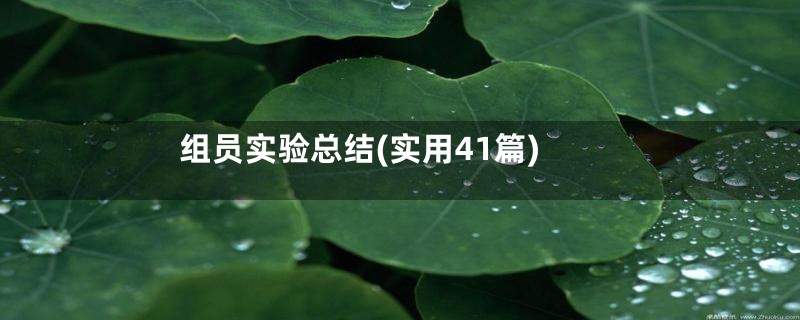 组员实验总结(实用41篇)