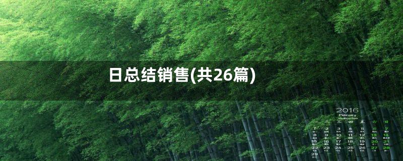 日总结销售(共26篇)