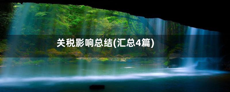 关税影响总结(汇总4篇)