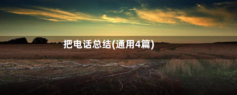 把电话总结(通用4篇)