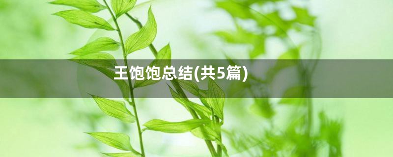 王饱饱总结(共5篇)
