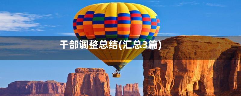 干部调整总结(汇总3篇)