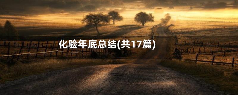 化验年底总结(共17篇)