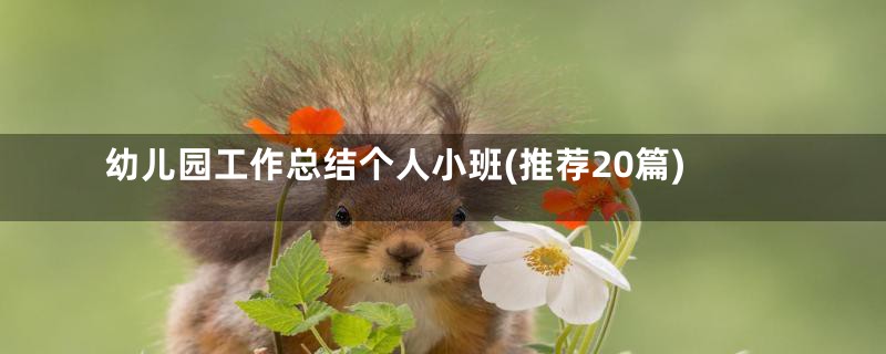 幼儿园工作总结个人小班(推荐20篇)