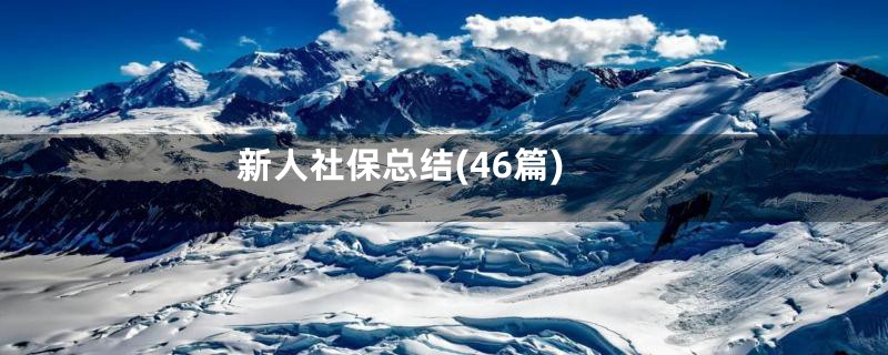 新人社保总结(46篇)