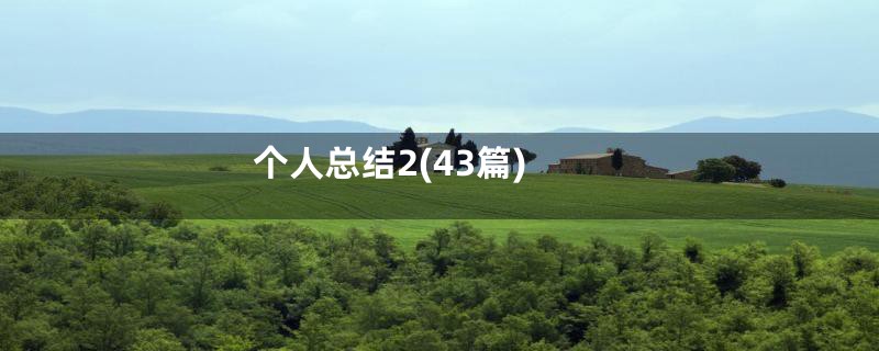 个人总结2(43篇)