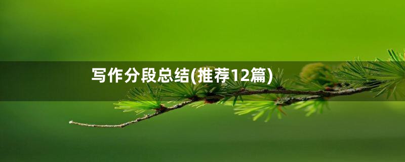 写作分段总结(推荐12篇)
