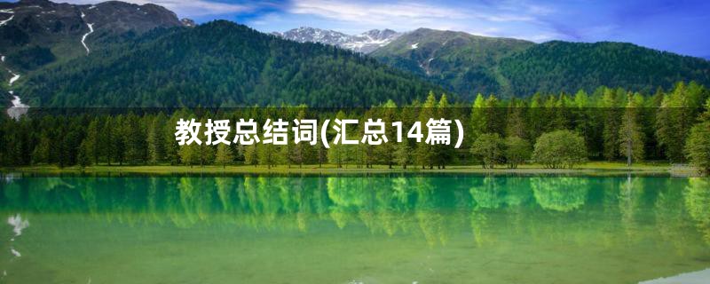 教授总结词(汇总14篇)