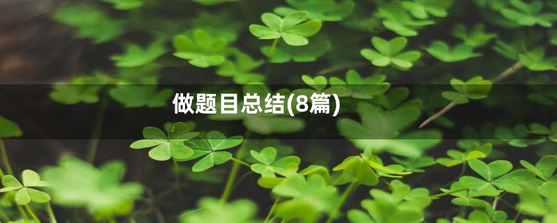 做题目总结(8篇)