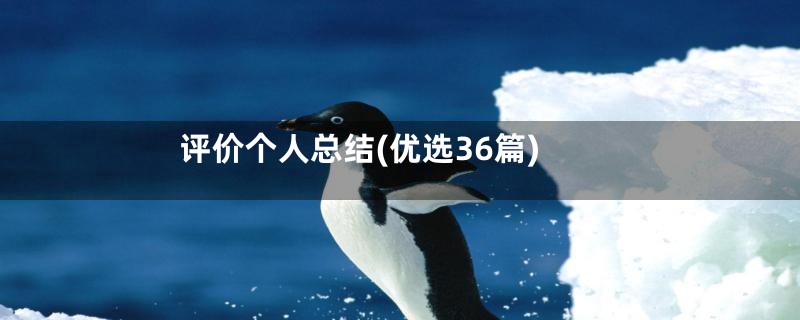 评价个人总结(优选36篇)