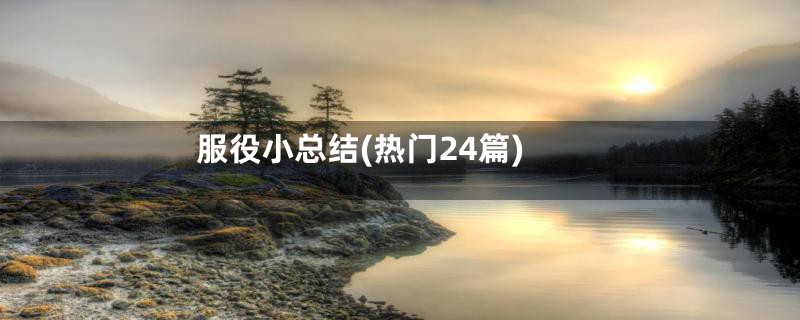 服役小总结(热门24篇)