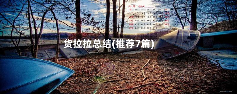 货拉拉总结(推荐7篇)