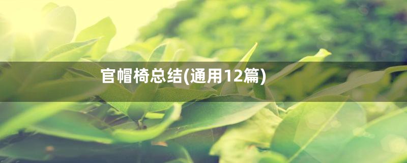 官帽椅总结(通用12篇)