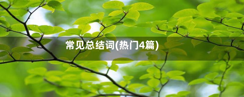 常见总结词(热门4篇)