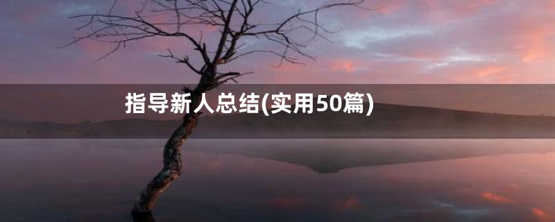 指导新人总结(实用50篇)