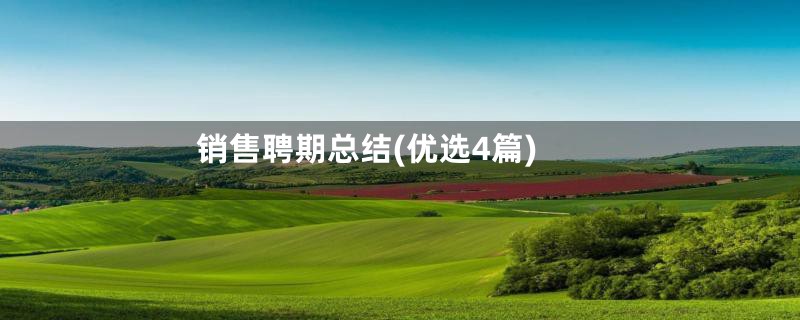销售聘期总结(优选4篇)
