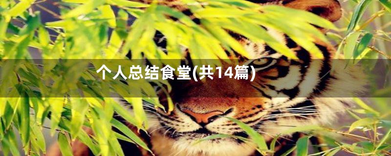 个人总结食堂(共14篇)