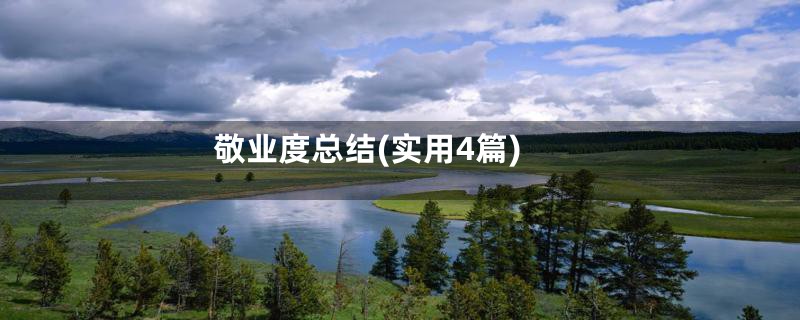 敬业度总结(实用4篇)