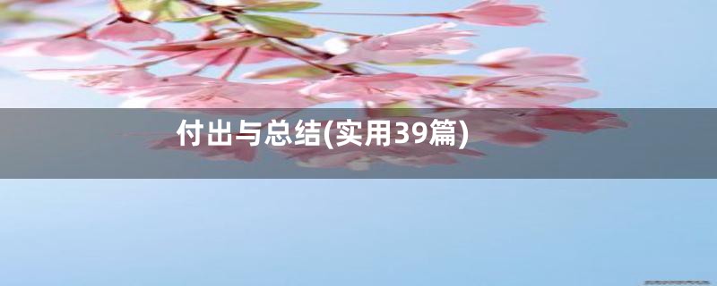 付出与总结(实用39篇)