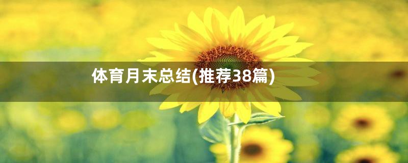 体育月末总结(推荐38篇)