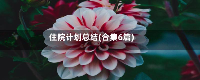 住院计划总结(合集6篇)