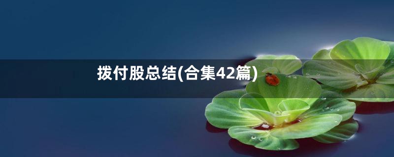 拨付股总结(合集42篇)