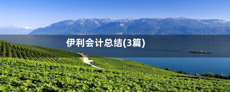 伊利会计总结(3篇)