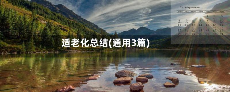 适老化总结(通用3篇)