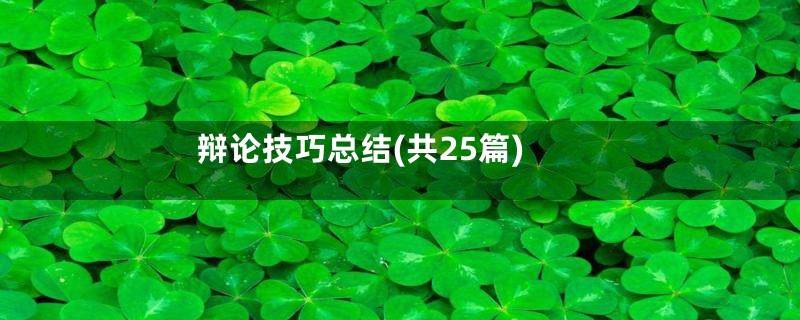辩论技巧总结(共25篇)
