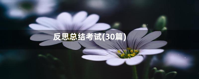 反思总结考试(30篇)