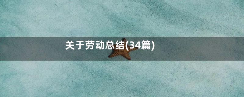 关于劳动总结(34篇)