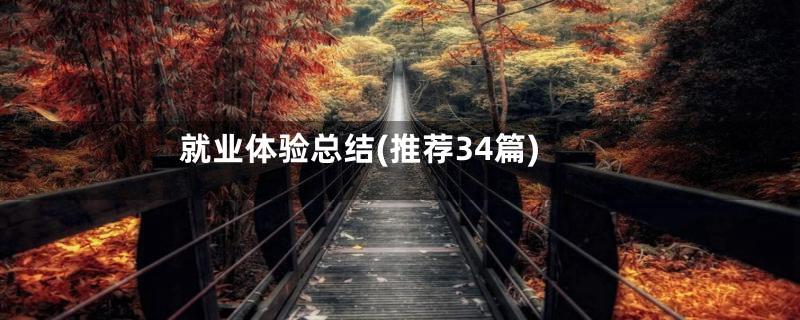 就业体验总结(推荐34篇)