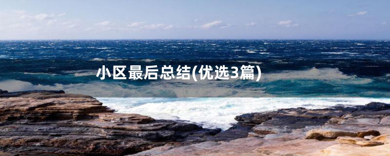 小区最后总结(优选3篇)