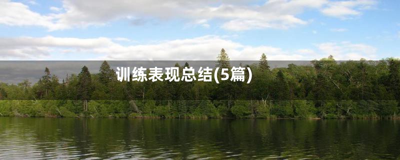 训练表现总结(5篇)