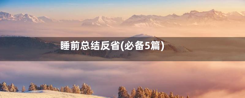 睡前总结反省(必备5篇)