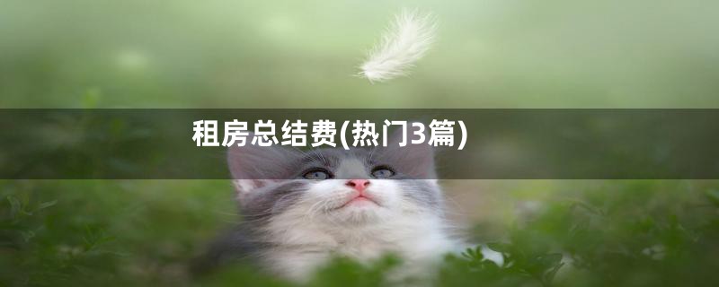 租房总结费(热门3篇)
