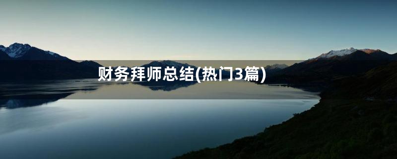 财务拜师总结(热门3篇)