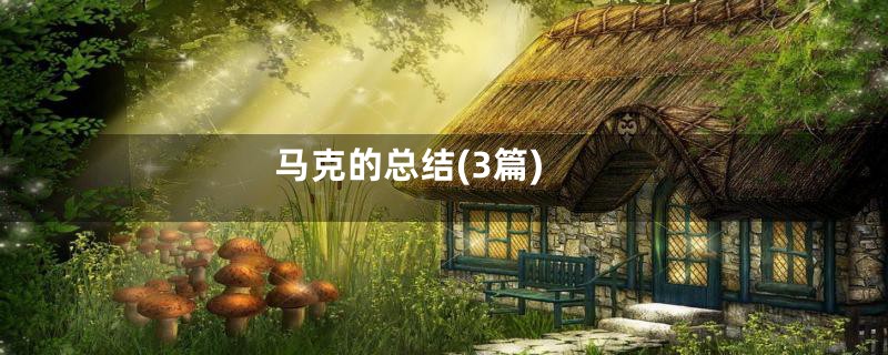 马克的总结(3篇)