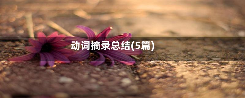 动词摘录总结(5篇)