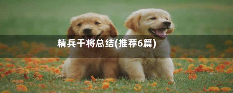 精兵干将总结(推荐6篇)