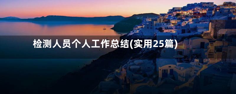 检测人员个人工作总结(实用25篇)
